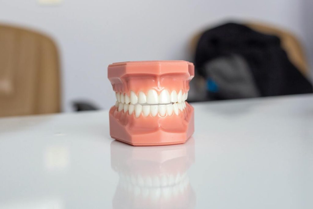 mouth 3d model for dental presentation